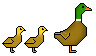 Duck Smileys