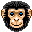 :monkey: