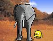 Elephant Smileys