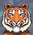 Bengal Tiger Smileys