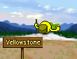 Yellowstone Smileys